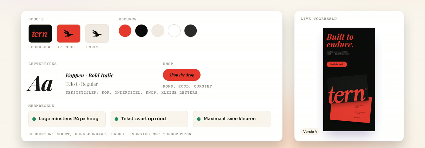 Een merkkit met logovarianten, kleurenreeks, lettertypes en merkregels, naast een live voorbeeld van een banner.